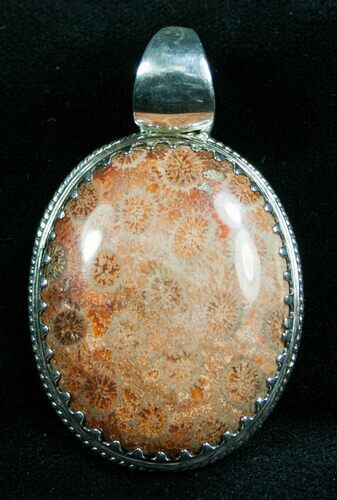 Beautiful Fossil Coral Pendant #7726